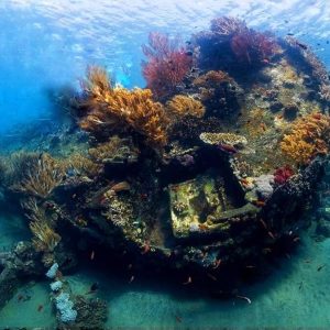 Dive Bali 1 Day - Amed