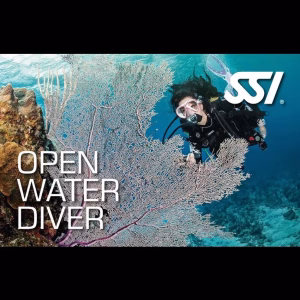 DP SSI Course